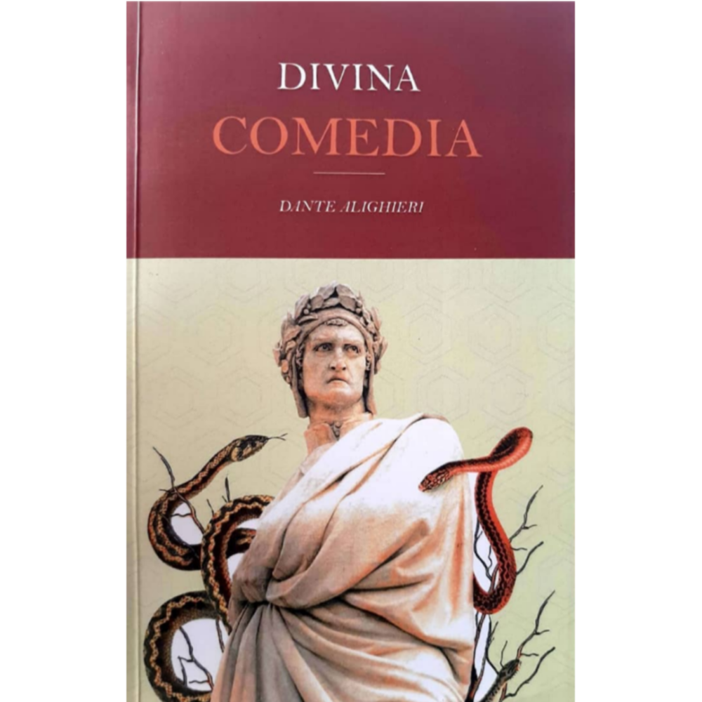 Impulso Soportar proporción La divina Comedia - Dante Alighieri. | Libros Medellín