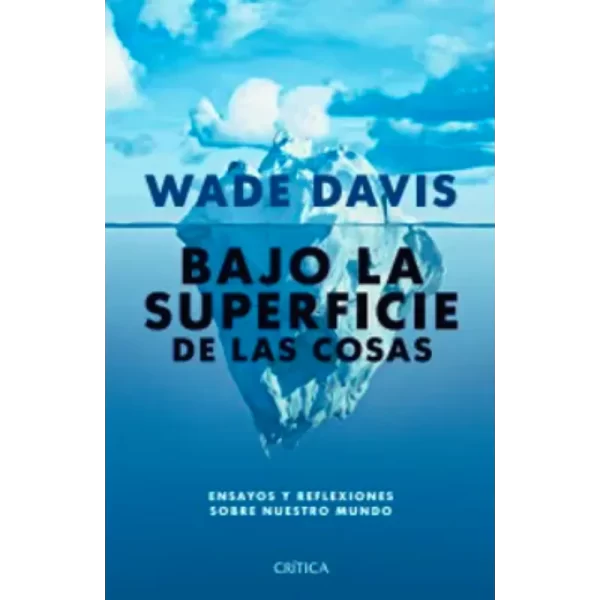 Bajo la superficie de las cosas - Davis Wade.