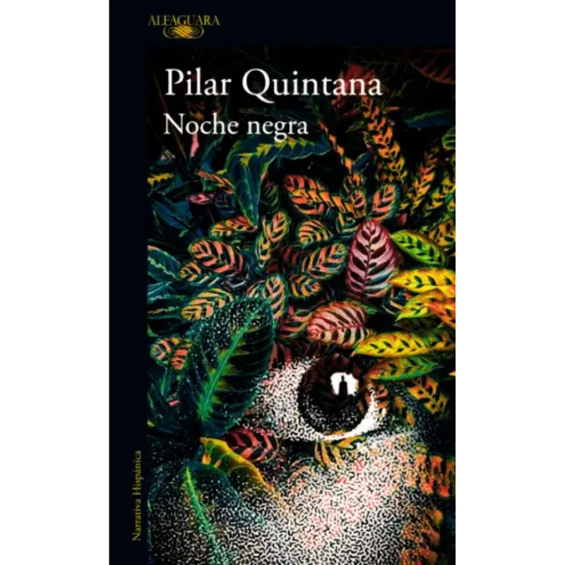 Noche negra pilar quintana, novela colombiana premiada y drama familiar con realismo descarnado.