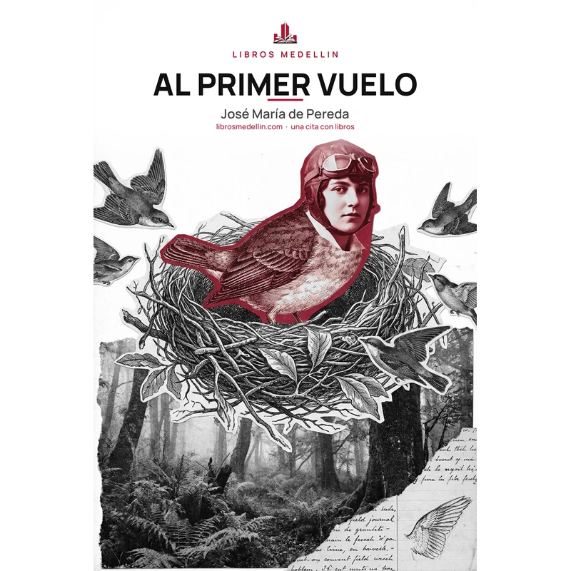 Al primer vuelo - José María de Pereda · Ebook 1 Al primer vuelo - José María de Pereda · Ebook